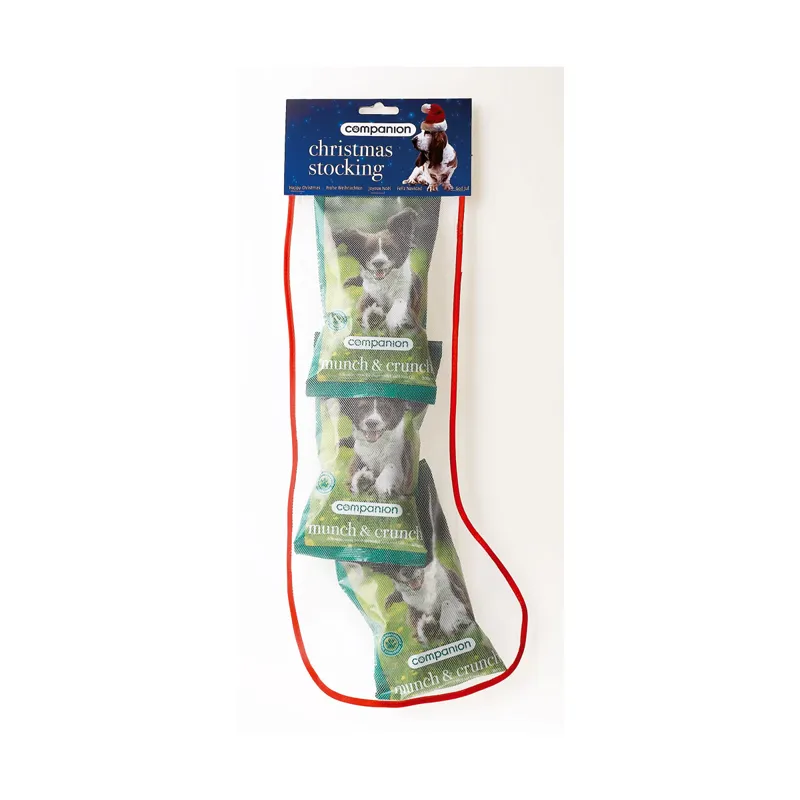 Companion Christmas Treat Stocking 